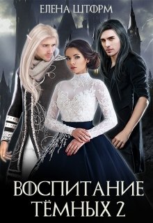 Воспитание тёмных. Книга 2 (Елена Шторм)